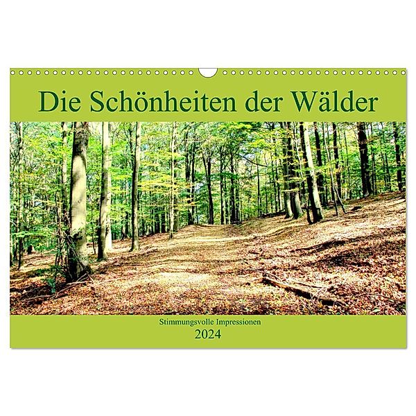 Die Schönheiten der Wälder - Stimmungsvolle Impressionen (Wandkalender 2024 DIN A3 quer), CALVENDO Monatskalender, Arno Klatt