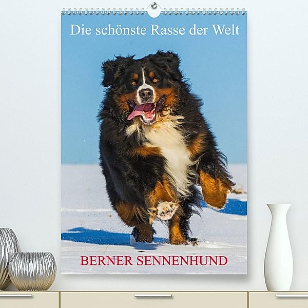 Die schönste Rasse der Welt - Berner Sennenhund (Premium, hochwertiger DIN A2 Wandkalender 2023, Kunstdruck in Hochglanz, Sigrid Starick