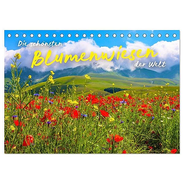 Die schönsten Blumenwiesen der Welt (Tischkalender 2024 DIN A5 quer), CALVENDO Monatskalender, SF