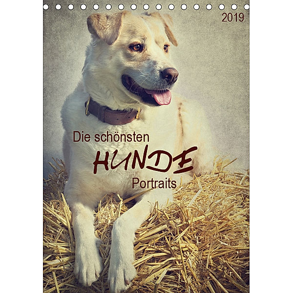 Die schönsten Hunde Portraits (Tischkalender 2019 DIN A5 hoch), Angela Dölling