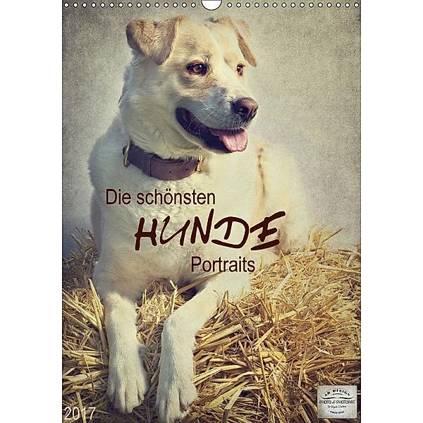 Die schönsten Hunde Portraits (Wandkalender 2017 DIN A3 hoch), Angela Dölling