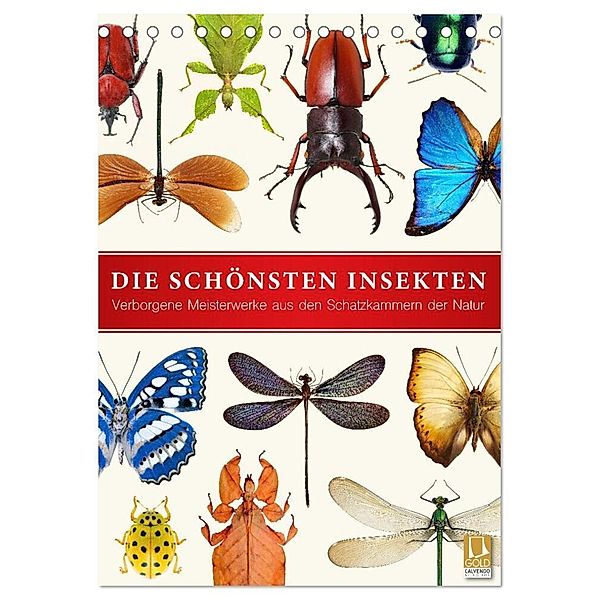Die schönsten Insekten (Tischkalender 2024 DIN A5 hoch), CALVENDO Monatskalender, Wildlife Art Print