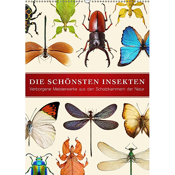 Die schönsten Insekten (Wandkalender 2019 DIN A2 hoch), Wildlife Art Print