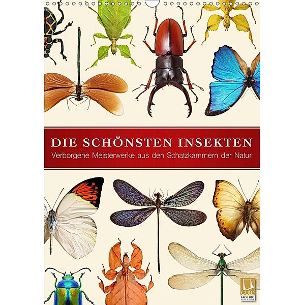 Die schönsten Insekten (Wandkalender 2020 DIN A3 hoch), Wildlife Art Print