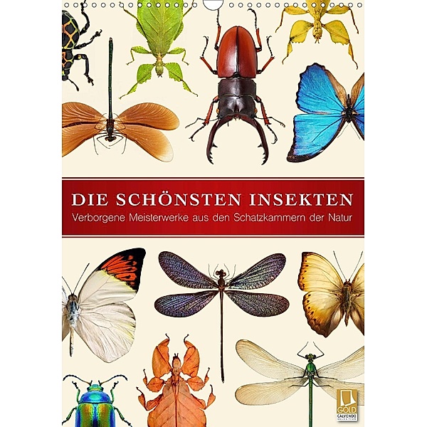 Die schönsten Insekten (Wandkalender 2021 DIN A3 hoch), Wildlife Art Print