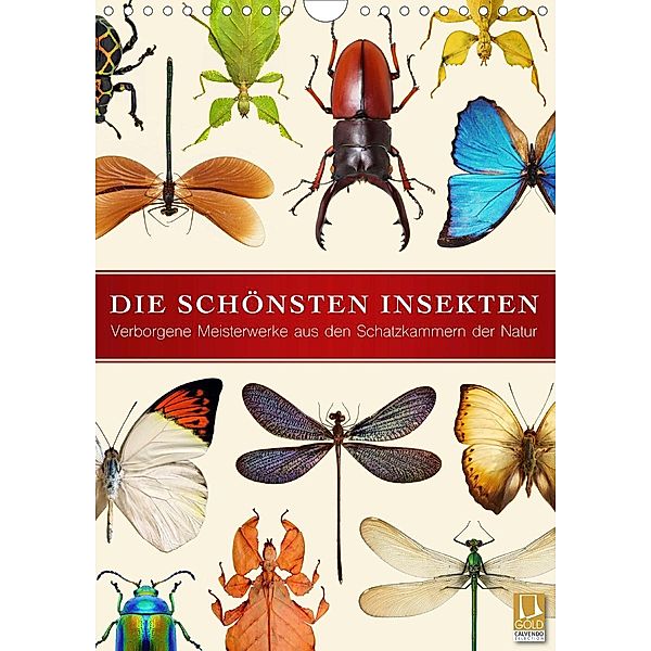 Die schönsten Insekten (Wandkalender 2021 DIN A4 hoch), Wildlife Art Print