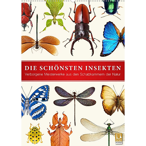 Die schönsten Insekten (Wandkalender 2023 DIN A2 hoch), Wildlife Art Print