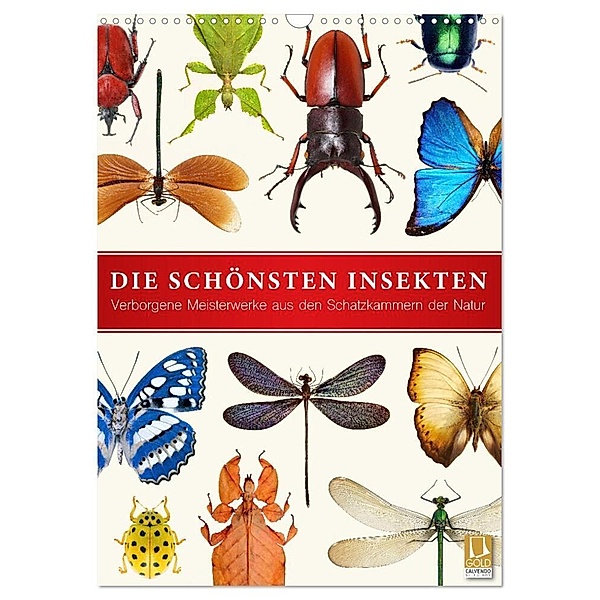 Die schönsten Insekten (Wandkalender 2024 DIN A3 hoch), CALVENDO Monatskalender, Wildlife Art Print