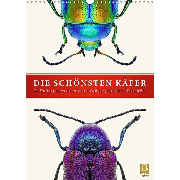 Die schönsten Käfer (Wandkalender 2023 DIN A3 hoch), Wildlife Art Print