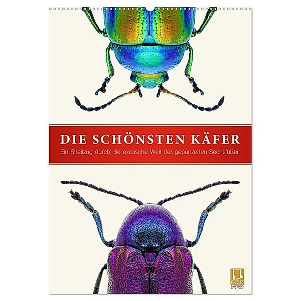 Die schönsten Käfer (Wandkalender 2024 DIN A2 hoch), CALVENDO Monatskalender, Wildlife Art Print