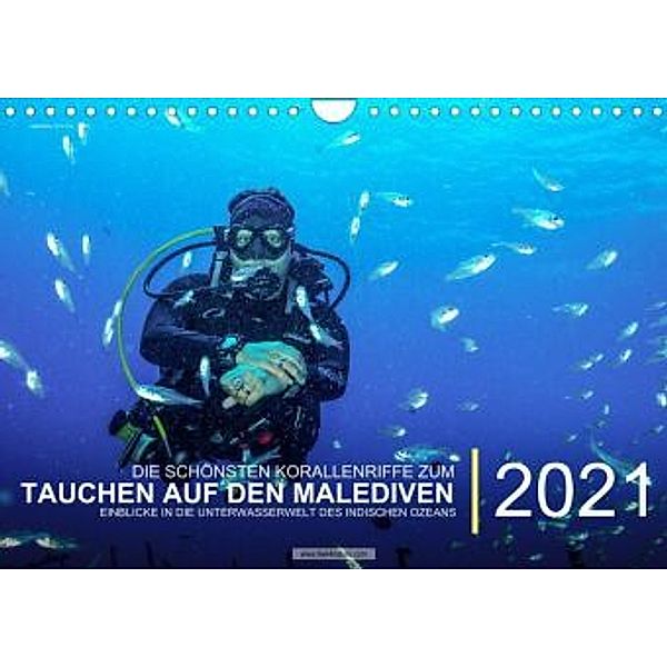 Die schönsten Korallenriffe zum Tauchen auf den Malediven (Wandkalender immerwährend DIN A4 quer), Christian Hubo - feel4nature.com