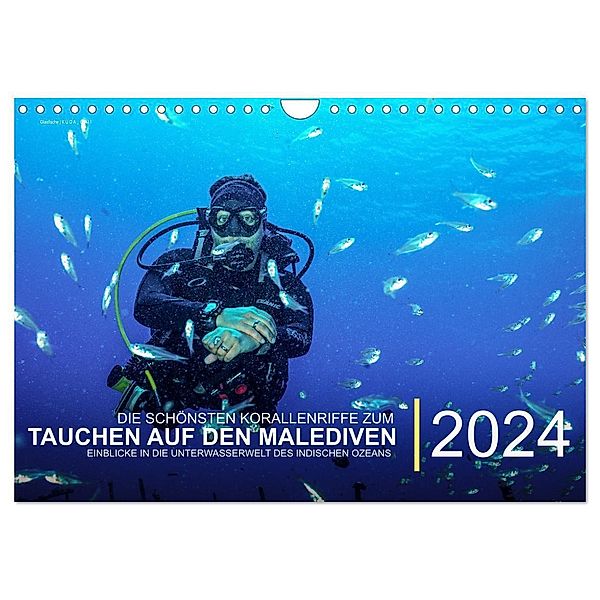 Die schönsten Korallenriffe zum Tauchen auf den Malediven (Wandkalender 2024 DIN A4 quer), CALVENDO Monatskalender, Christian Hubo - feel4nature