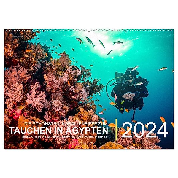 Die schönsten Korallenriffe zum Tauchen in Ägypten (Wandkalender 2024 DIN A2 quer), CALVENDO Monatskalender, Christian Hubo - feel4nature