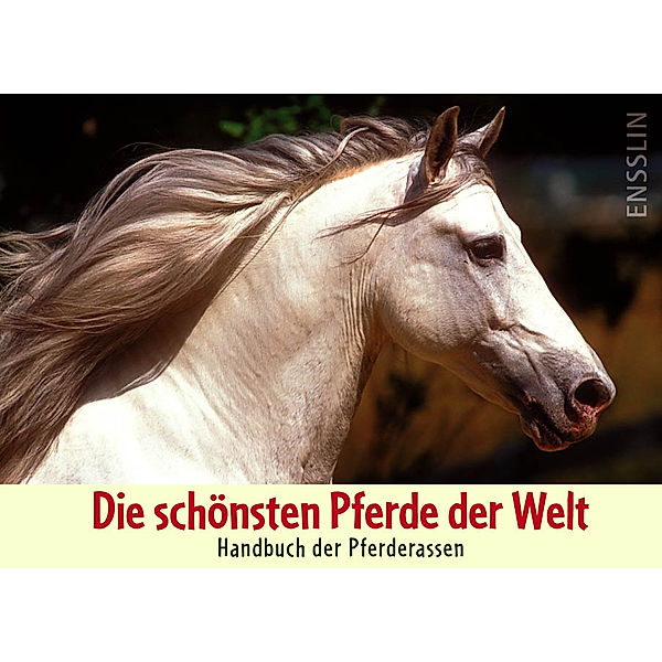 Die schönsten Pferde der Welt, Judith Dutson