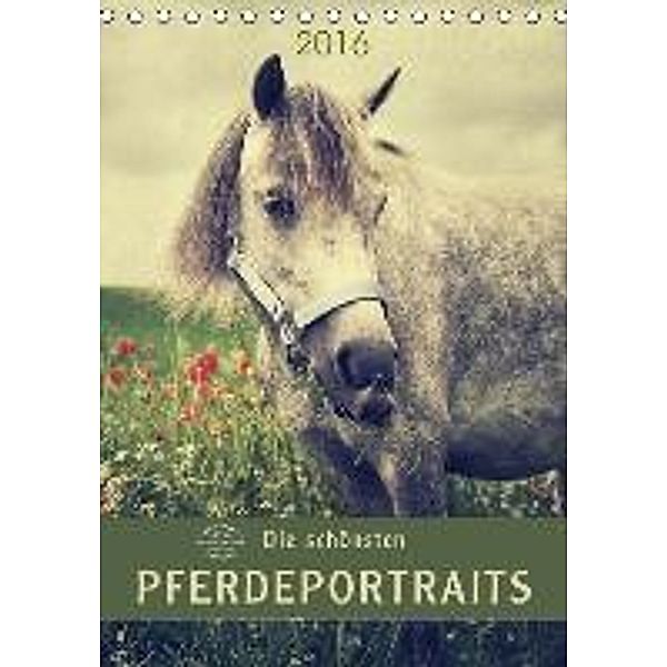 Die schönsten Pferdeportraits (Tischkalender 2016 DIN A5 hoch), Angela Dölling