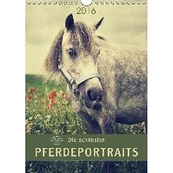 Die schönsten Pferdeportraits (Wandkalender 2016 DIN A4 hoch), Angela Dölling