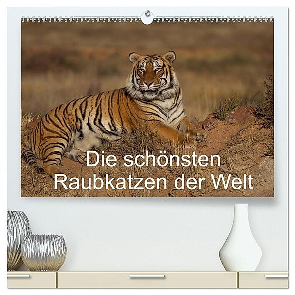 Die schönsten Raubkatzen der Welt (hochwertiger Premium Wandkalender 2024 DIN A2 quer), Kunstdruck in Hochglanz, Marion Vollborn