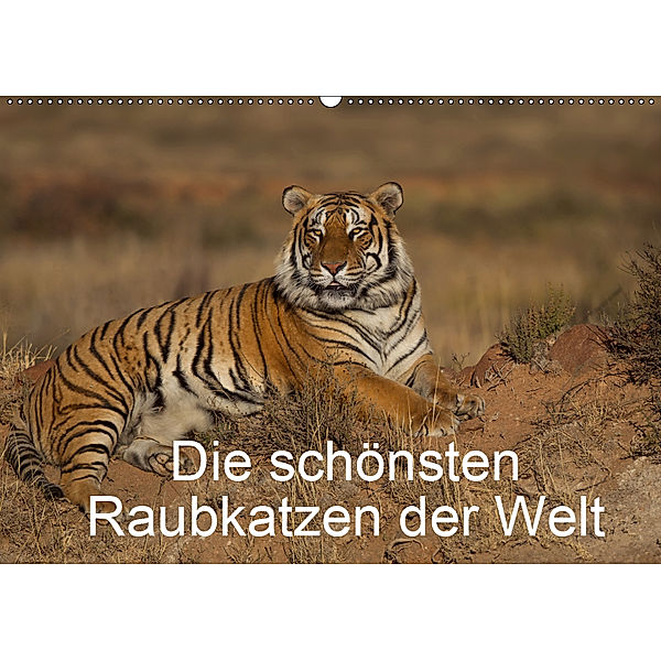 Die schönsten Raubkatzen der Welt (Wandkalender 2019 DIN A2 quer), Marion Vollborn