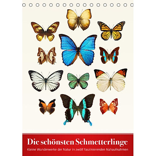 Die schönsten Schmetterlinge (Tischkalender 2022 DIN A5 hoch), Wildlife Art Print