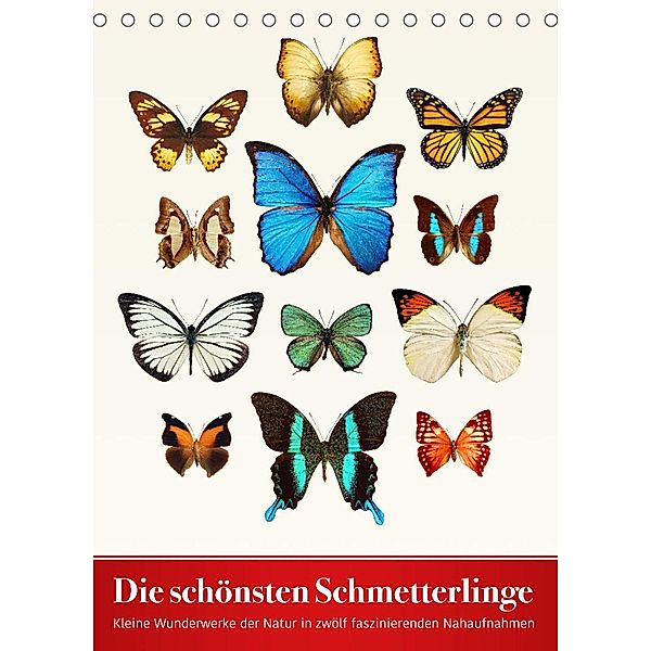 Die schönsten Schmetterlinge (Tischkalender 2023 DIN A5 hoch), Wildlife Art Print