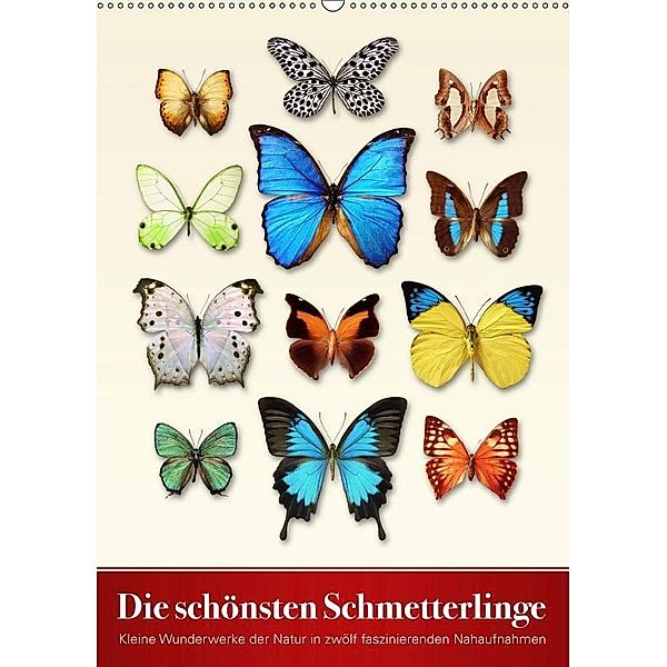 Die schönsten Schmetterlinge (Wandkalender 2019 DIN A2 hoch), Wildlife Art Print