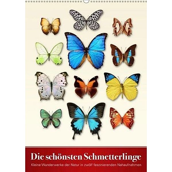 Die schönsten Schmetterlinge (Wandkalender 2020 DIN A2 hoch), Wildlife Art Print