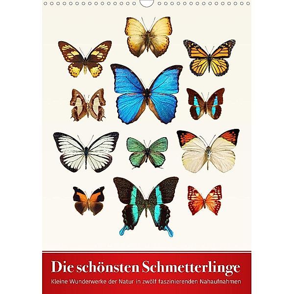 Die schönsten Schmetterlinge (Wandkalender 2023 DIN A3 hoch), Wildlife Art Print