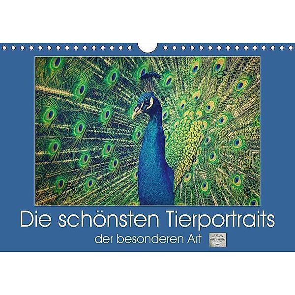 Die schönsten Tierportraits der besonderen Art (Wandkalender 2018 DIN A4 quer), Angela Dölling