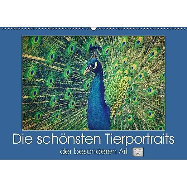 Die schönsten Tierportraits der besonderen Art (Wandkalender 2018 DIN A2 quer), Angela Dölling