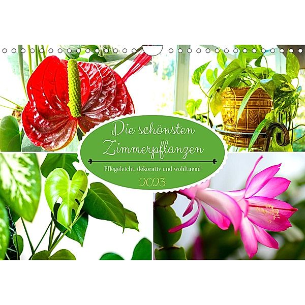 Die schönsten Zimmerpflanzen. Pflegeleicht, dekorativ und wohltuend (Wandkalender 2023 DIN A4 quer), Rose Hurley