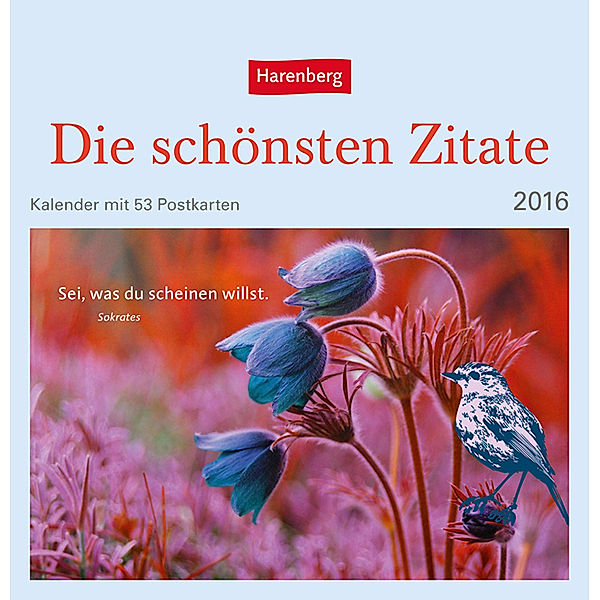 Die schönsten Zitate 2016