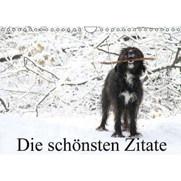 Die schönsten Zitate (Wandkalender 2016 DIN A4 quer), Clarissa Itschert