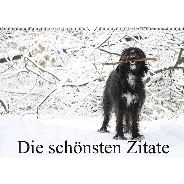 Die schönsten Zitate (Wandkalender 2019 DIN A3 quer), Clarissa Itschert