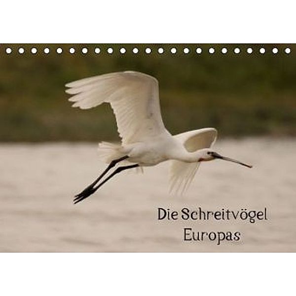 Die Schreitvögel Europas (Tischkalender 2016 DIN A5 quer), Winfried Erlwein