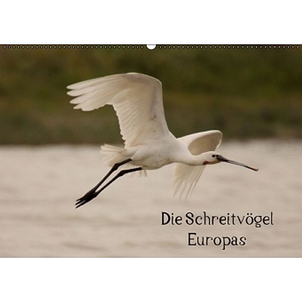 Die Schreitvögel Europas (Wandkalender 2016 DIN A2 quer), Winfried Erlwein