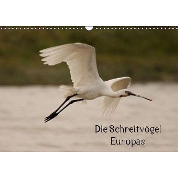 Die Schreitvögel Europas (Wandkalender 2016 DIN A3 quer), Winfried Erlwein