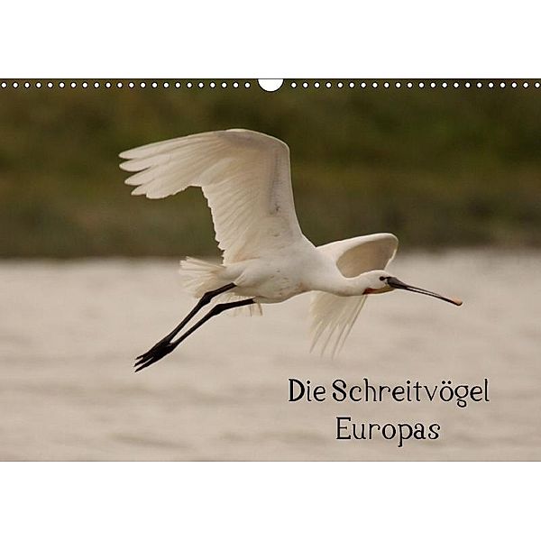 Die Schreitvögel Europas (Wandkalender 2017 DIN A3 quer), Winfried Erlwein