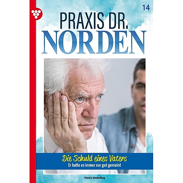 Die Schuld eines Vaters / Praxis Dr. Norden Bd.14, Patricia Vandenberg