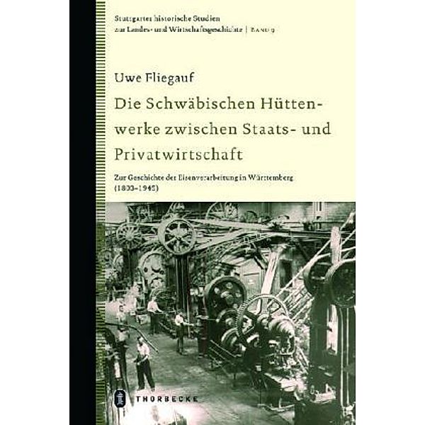 Die Schwäbischen Hüttenwerke zwischen Staats- und Privatwirtschaft, Uwe Fliegauf