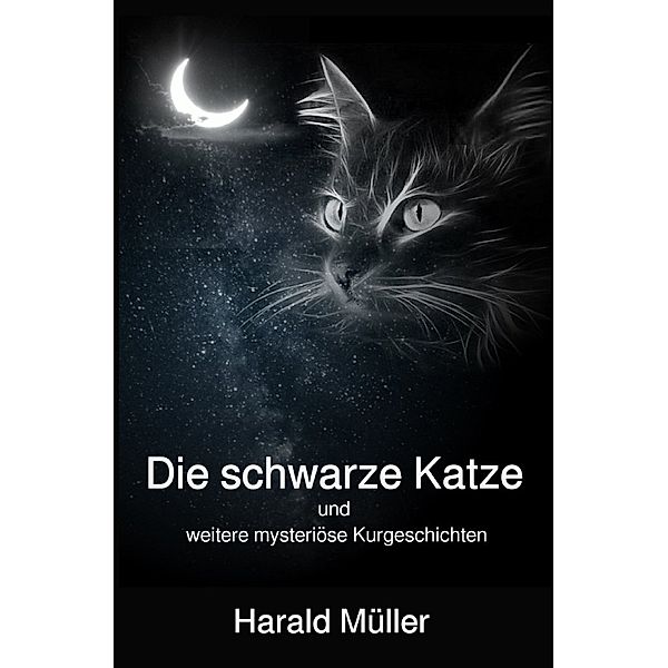 Die schwarze Katze und weitere mysteriöse Kurzgeschichten, Harald Müller