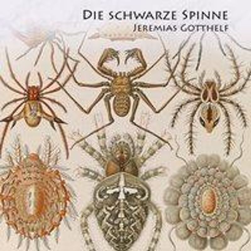 Die schwarze Spinne, Audio-CD, MP3 Hörbuch günstig bestellen