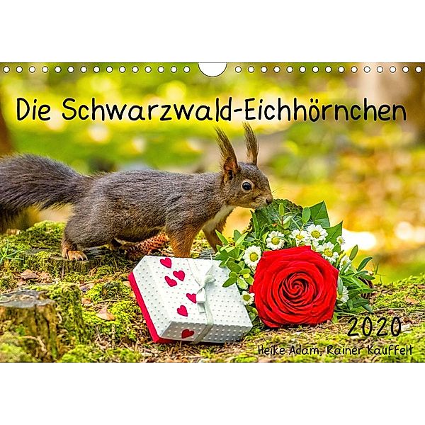 Die Schwarzwald-Eichhörnchen (Wandkalender 2020 DIN A4 quer), Heike Adam