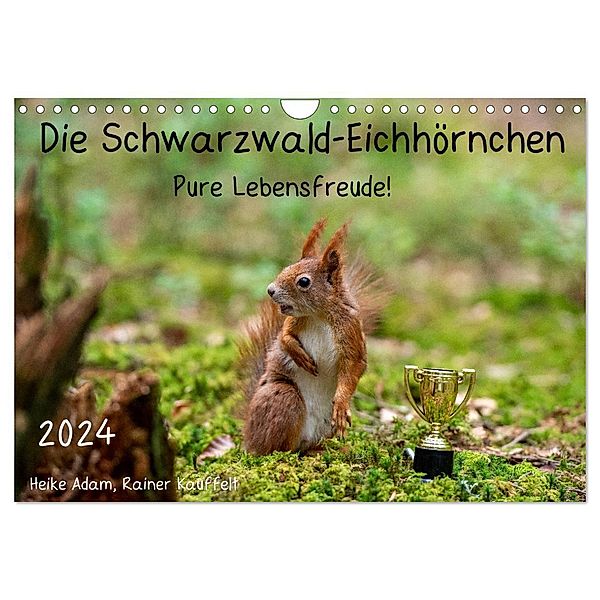 Die Schwarzwald-Eichhörnchen (Wandkalender 2024 DIN A4 quer), CALVENDO Monatskalender, Heike Adam