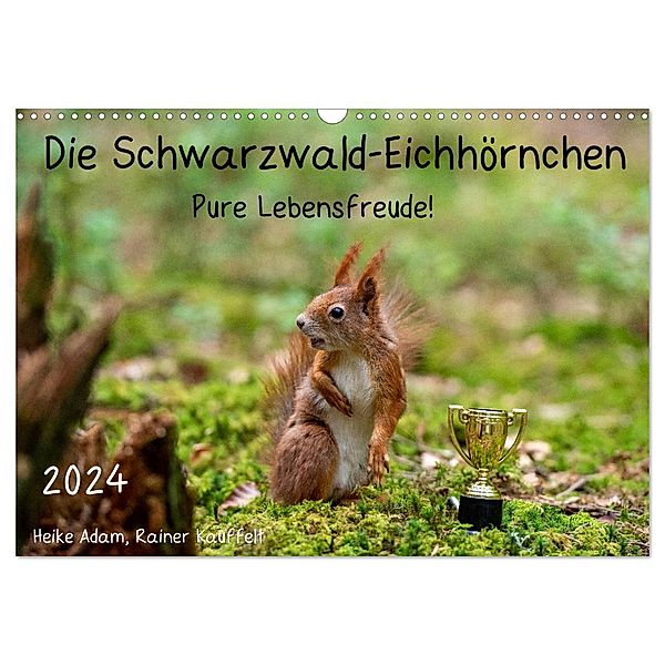 Die Schwarzwald-Eichhörnchen (Wandkalender 2024 DIN A3 quer), CALVENDO Monatskalender, Heike Adam
