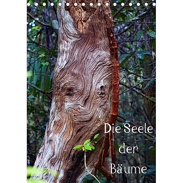 Die Seele der Bäume (Tischkalender 2020 DIN A5 hoch), Andreas Struve