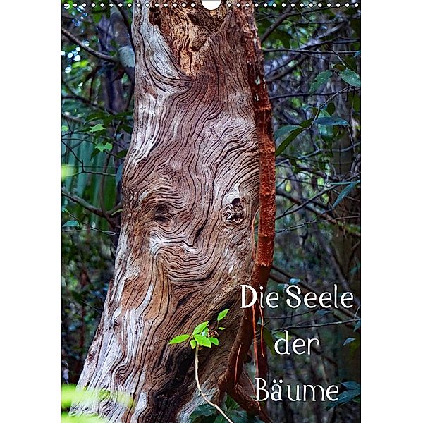 Die Seele der Bäume (Wandkalender 2020 DIN A3 hoch), Andreas Struve