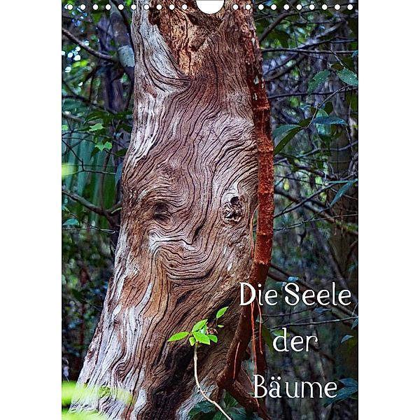 Die Seele der Bäume (Wandkalender 2020 DIN A4 hoch), Andreas Struve