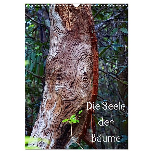 Die Seele der Bäume (Wandkalender 2024 DIN A3 hoch), CALVENDO Monatskalender, Andreas Struve
