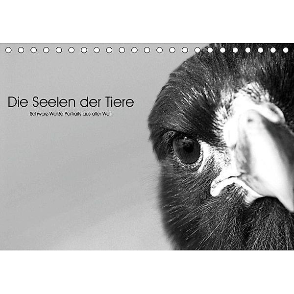 Die Seelen der wilden Tiere (Tischkalender 2021 DIN A5 quer), Rolf Skrypzak