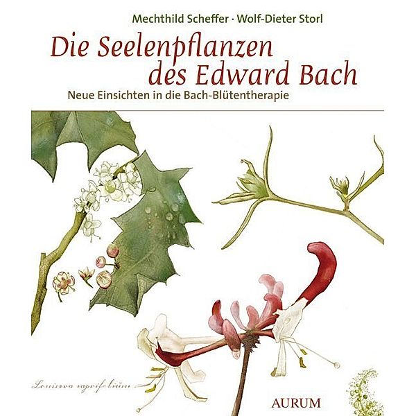 Die Seelenpflanzen des Edward Bach, Mechthild Scheffer, Wolf-Dieter Storl